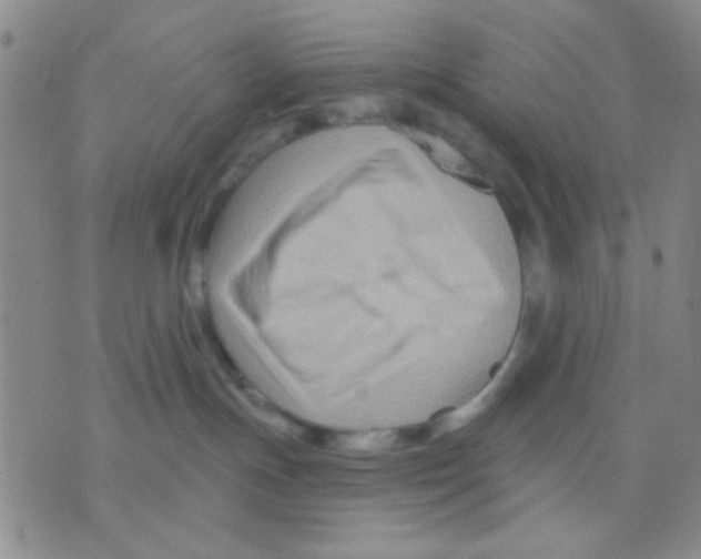 X0000075920191200610151916