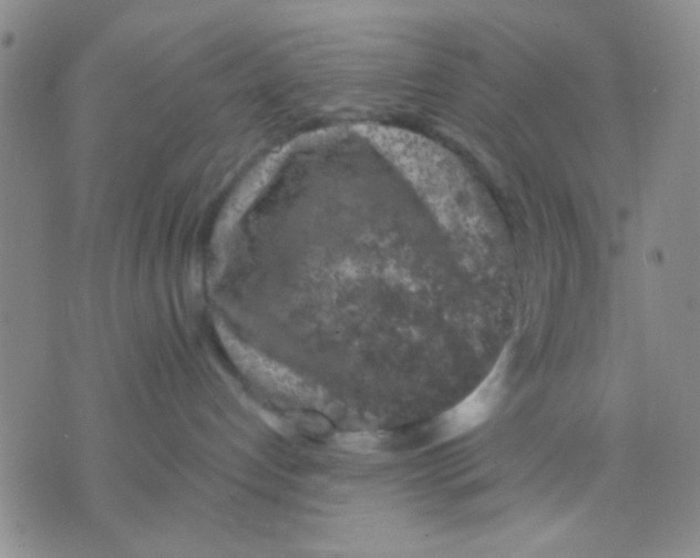 X0000075920192200610151916