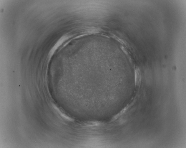 X0000075920195200610151915