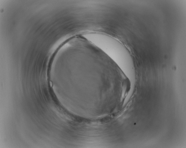 X0000075920196200610151915