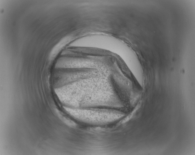 X0000075920197200610151915