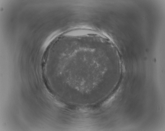 X0000075920199200610151915