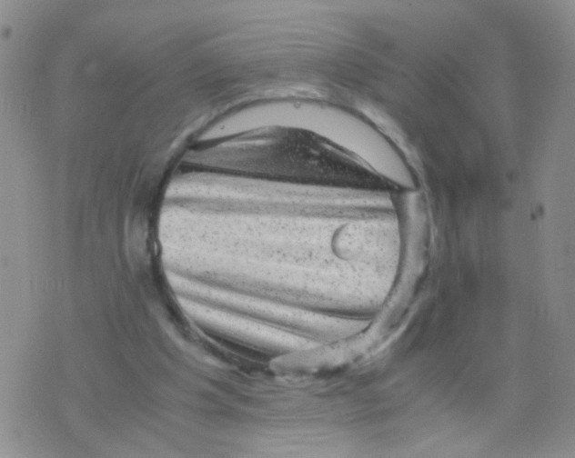 X0000075920201200610151915