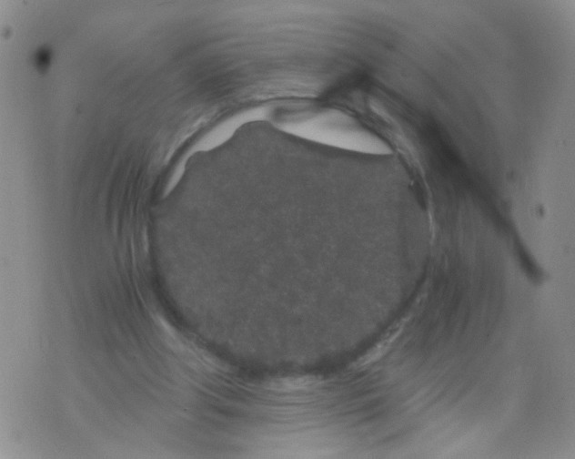 X0000075920202200610151915