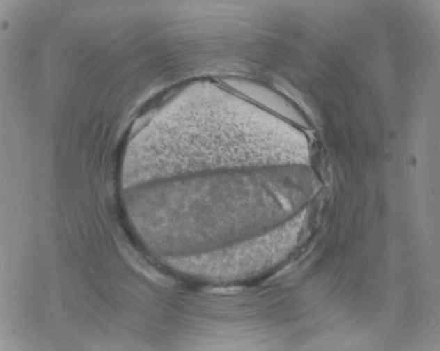 X0000075920203200610151915