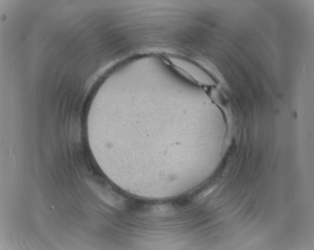 X0000075920204200610151915