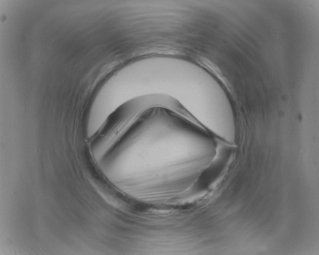 X0000075920205200610151915