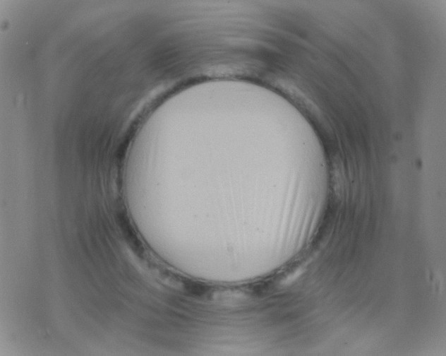 X0000075920208200610151915