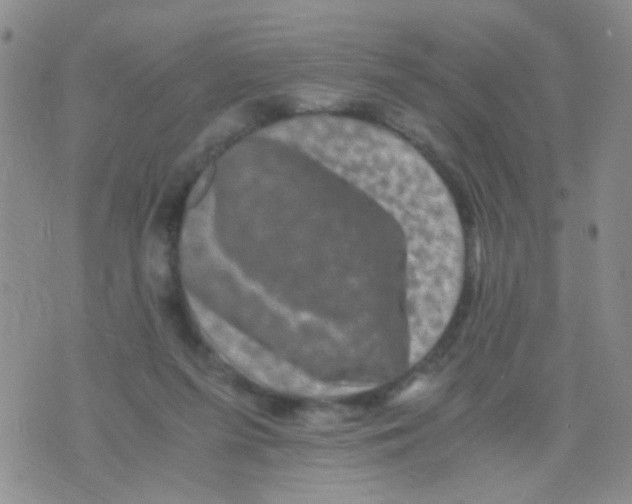 X0000075920215200610151914