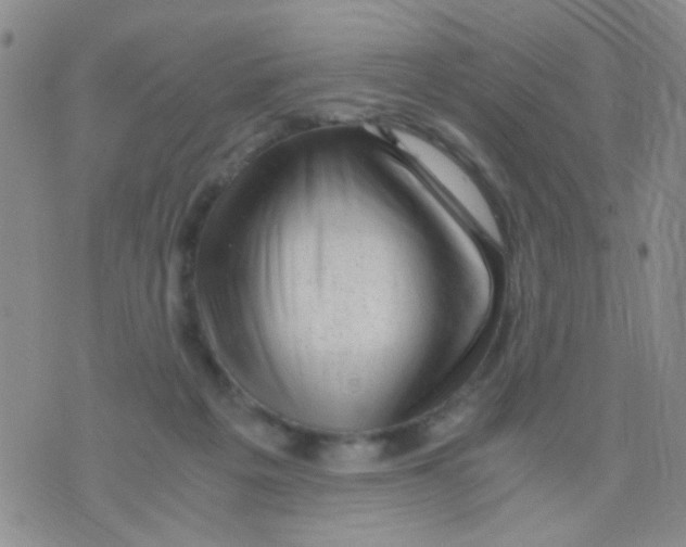 X0000075920217200610151914