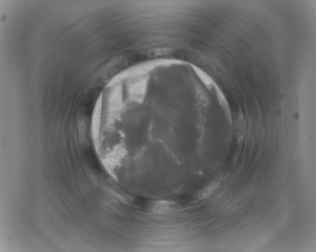 X0000075920222200610151914