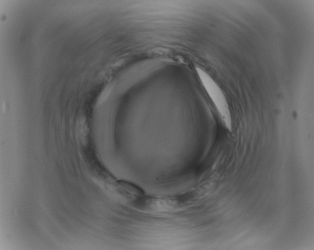 X0000075920223200610151914