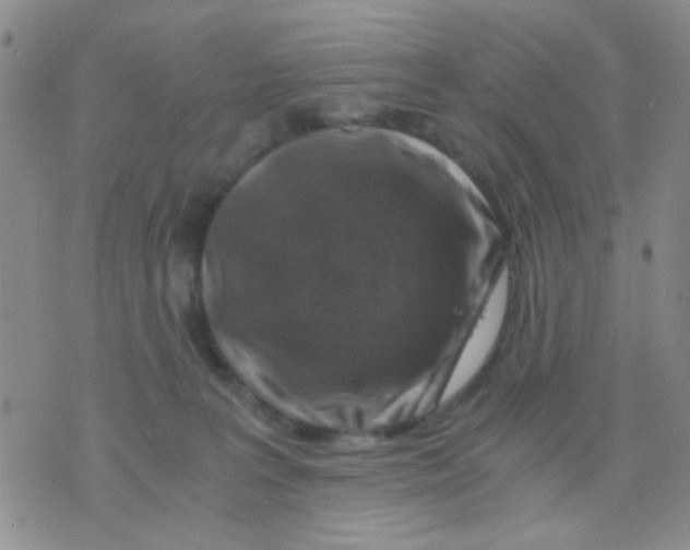 X0000075920227200610151914