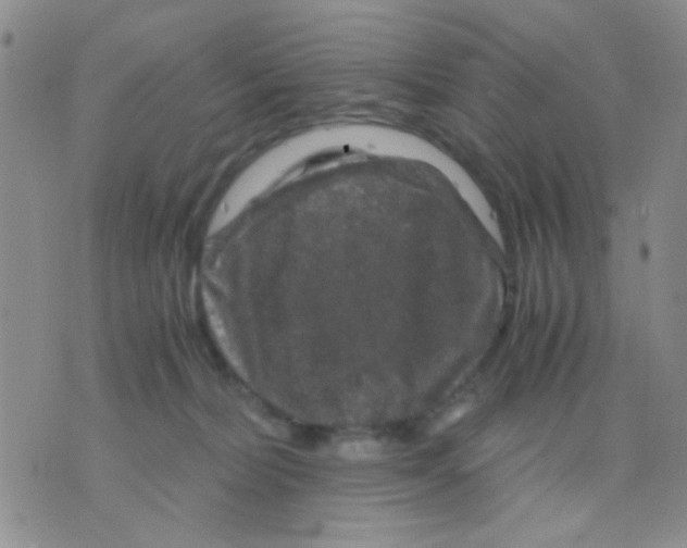 X0000075920228200610151914