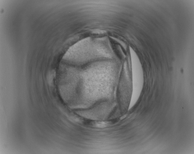 X0000075920229200610151914