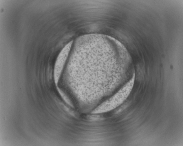 X0000075920230200610151914