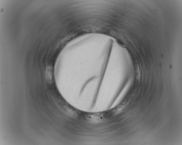 X0000075920232200610151914