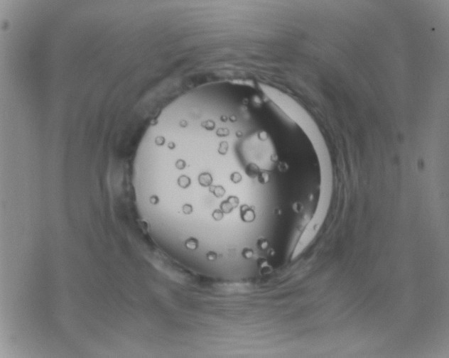 X0000075920233200610151914