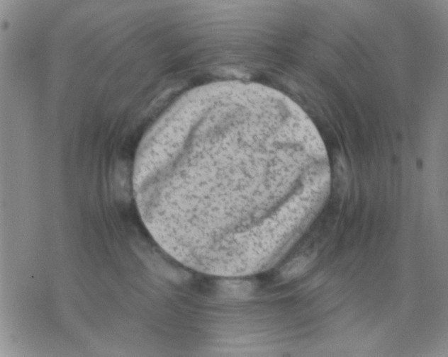 X0000075920234200610151914