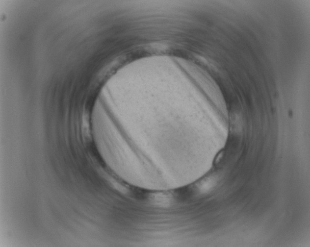 X0000075920238200610151914