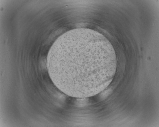 X0000075920240200610151914