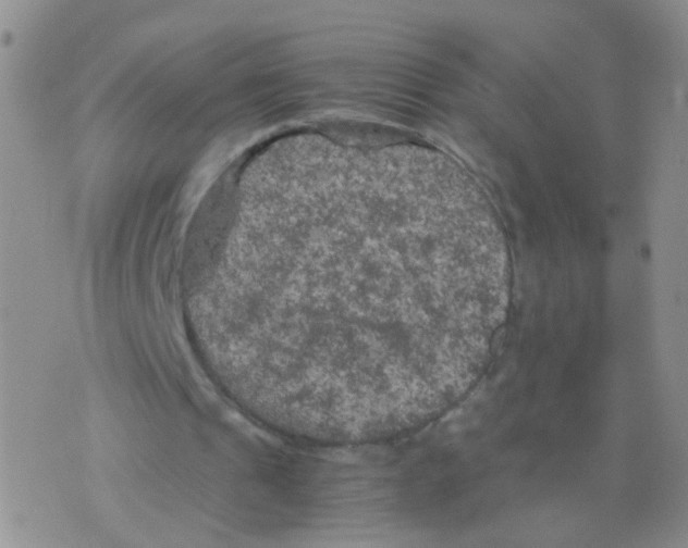 X0000075920241200610151913