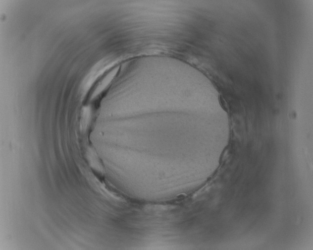 X0000075920242200610151913