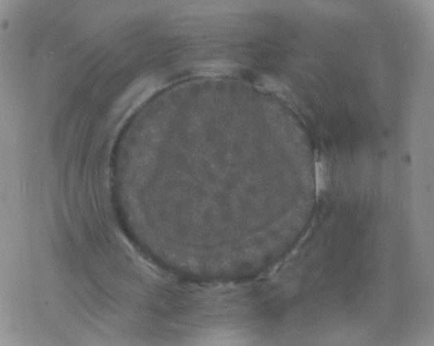 X0000075920243200610151913