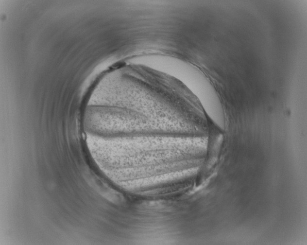 X0000075920244200610151913