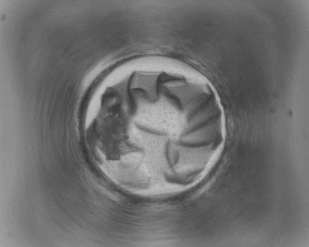 X0000075920246200610151913