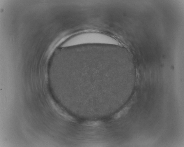 X0000075920247200610151913