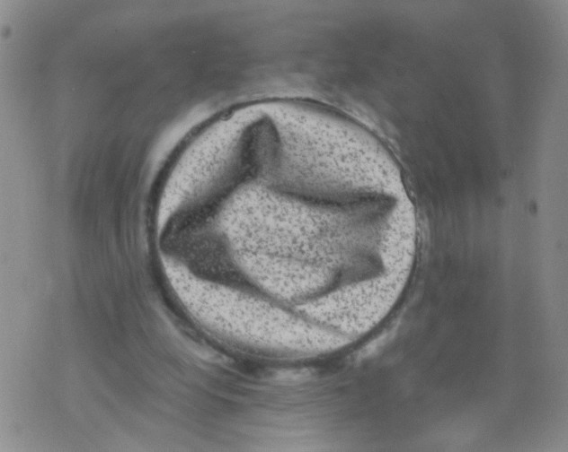 X0000075920248200610151913