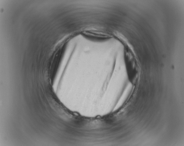 X0000075920249200610151913