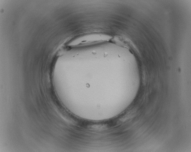 X0000075920251200610151913