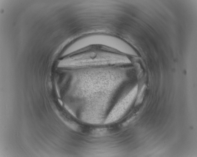 X0000075920252200610151913