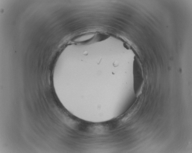 X0000075920253200610151913