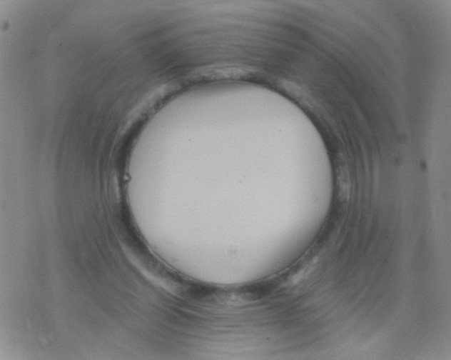 X0000075920254200610151913