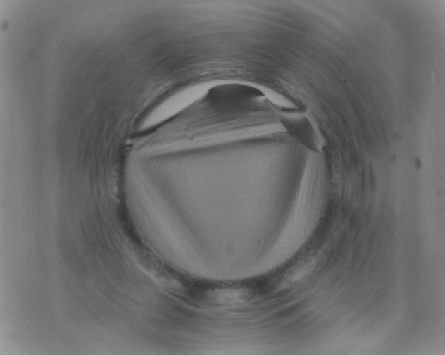 X0000075920255200610151913