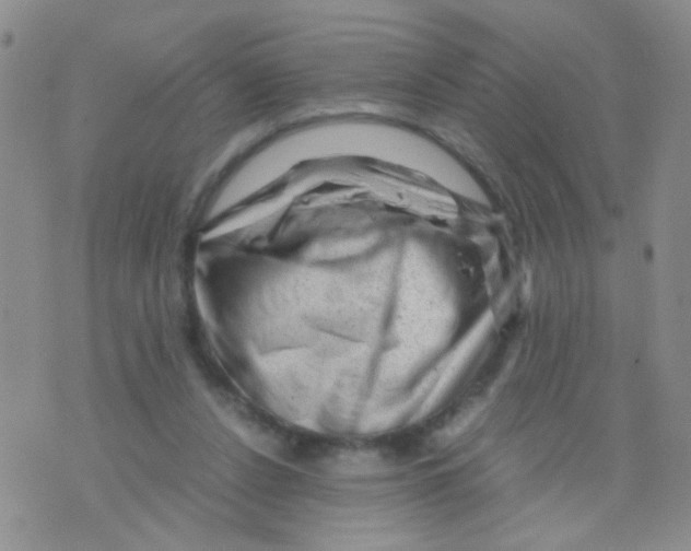 X0000075920256200610151913