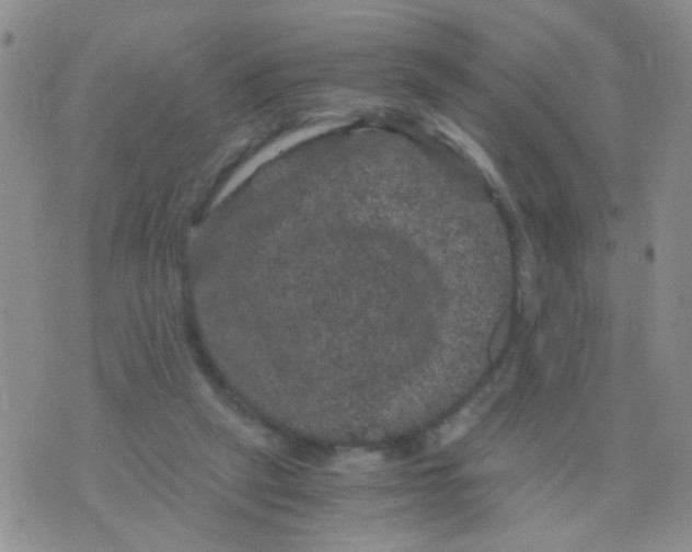 X0000075920257200610151913