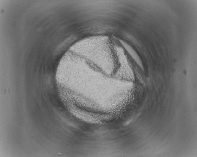 X0000075920258200610151913