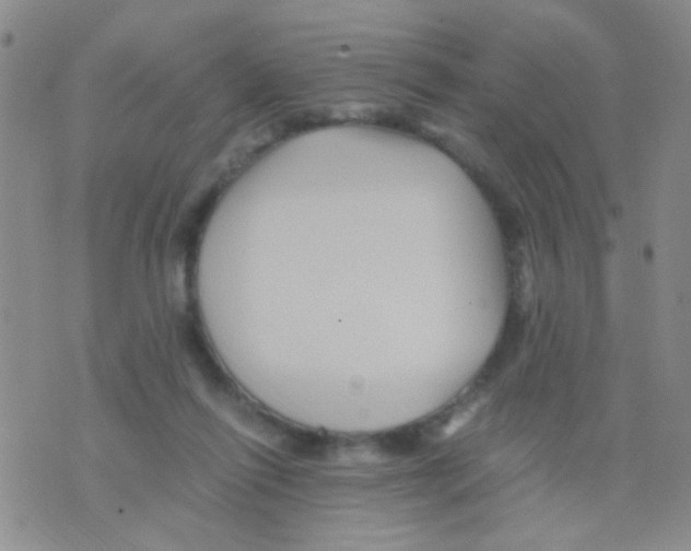 X0000075920262200610151914