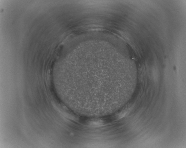 X0000075920263200610151914