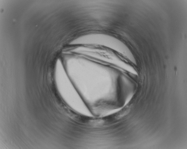 X0000075920266200610151914