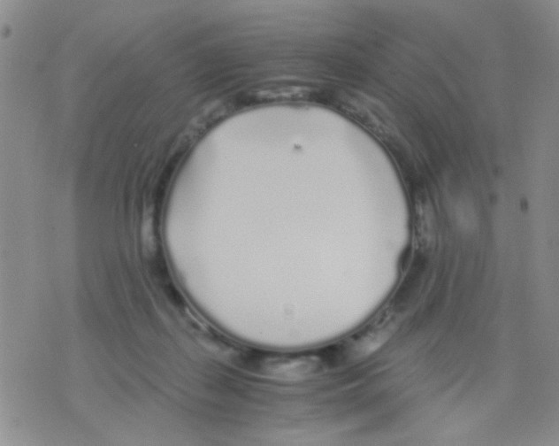 X0000075920267200610151914