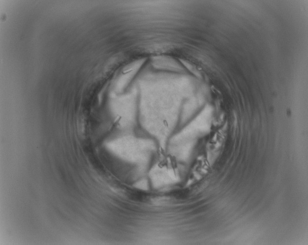 X0000075920268200610151914