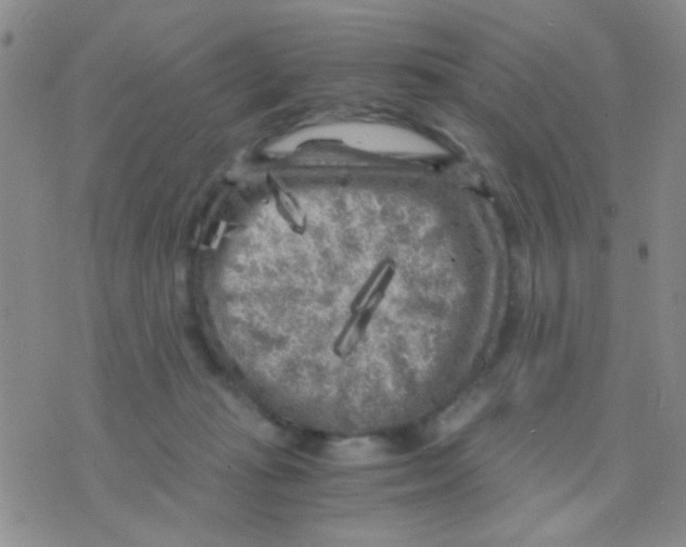 X0000075920269200610151914