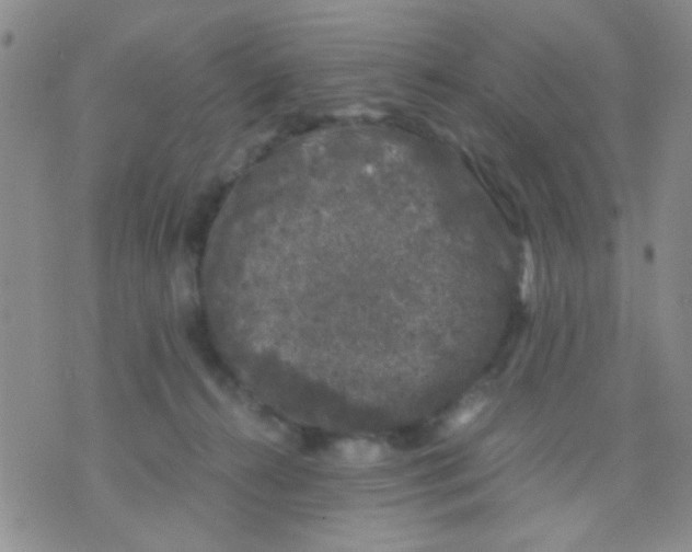 X0000075920272200610151914