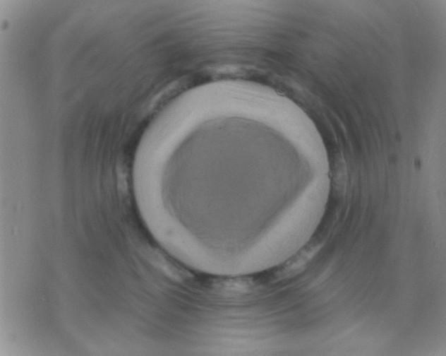 X0000075920282200610151914