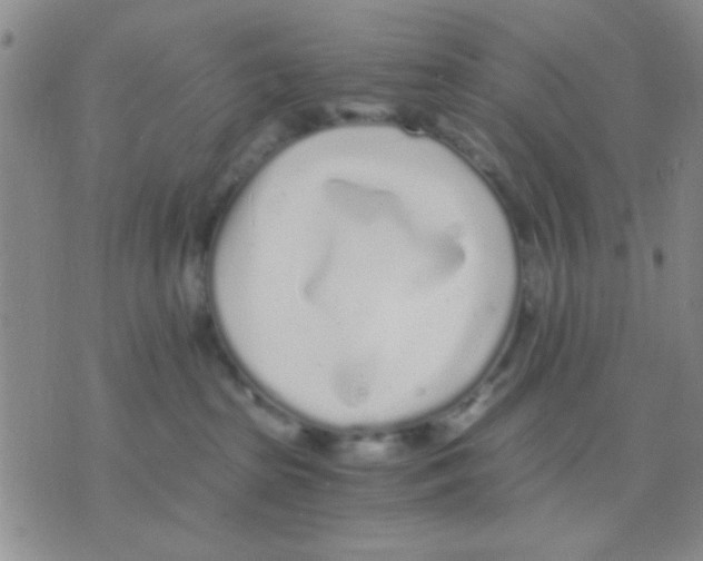 X0000075920285200610151914